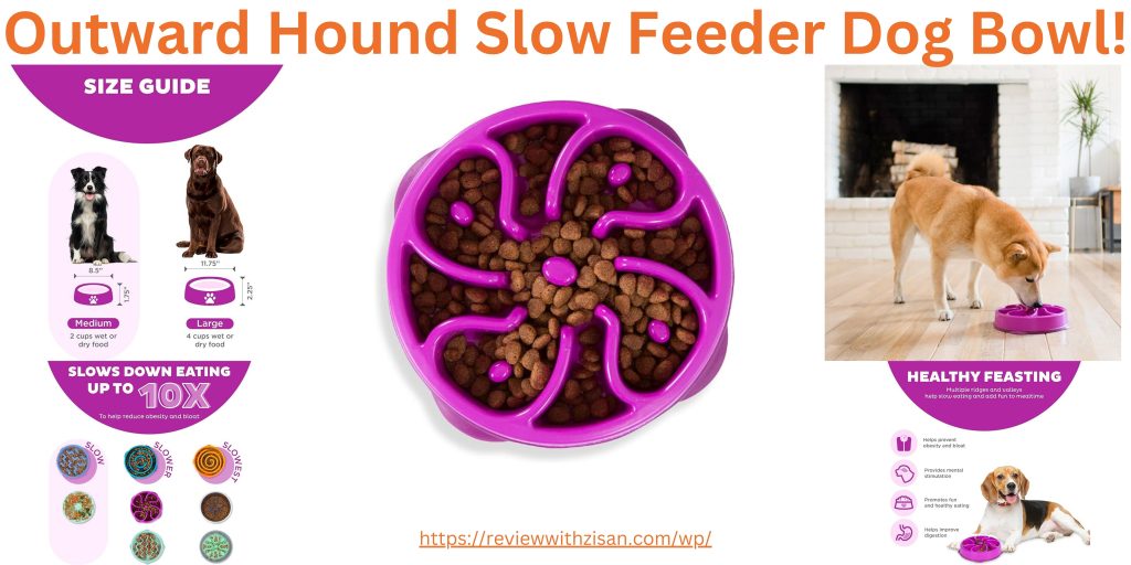 Outward Hound Slow Feeder Dog Bowl!