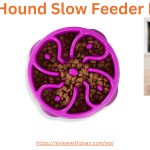 Outward Hound Slow Feeder Dog Bowl!